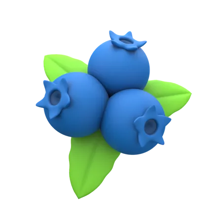 Blaubeere  3D Icon