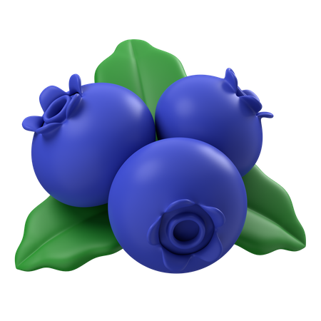 Blaubeeren  3D Icon