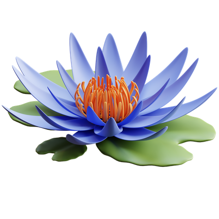 Blauer Lotus  3D Icon