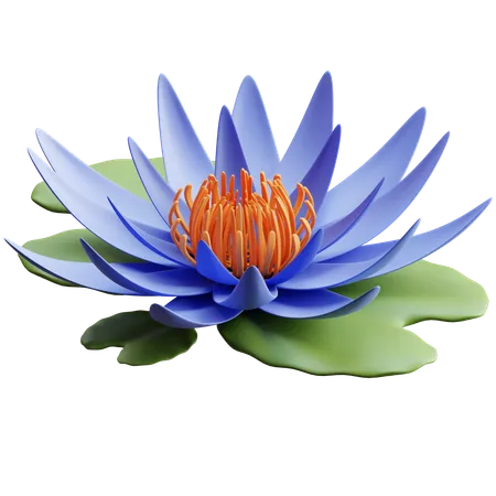 Blauer Lotus  3D Icon