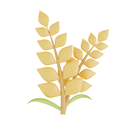 Grain de blé  3D Icon
