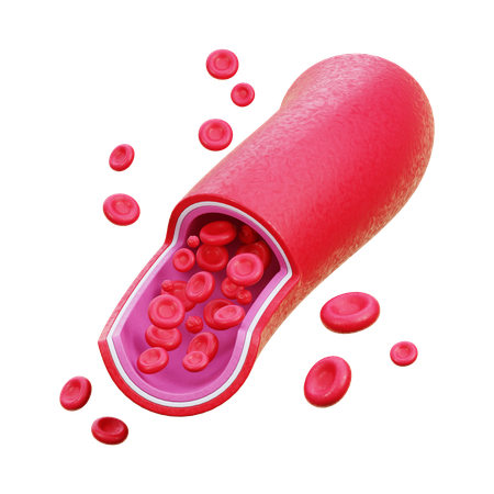 Blood Cell  3D Icon
