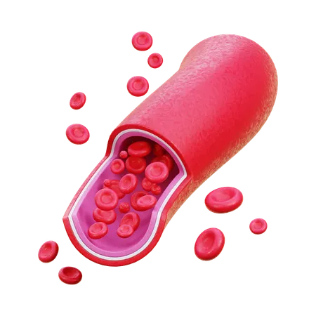 Blood Cell  3D Icon