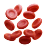 Blood Cell