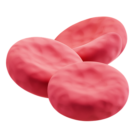 Blood Cell  3D Icon