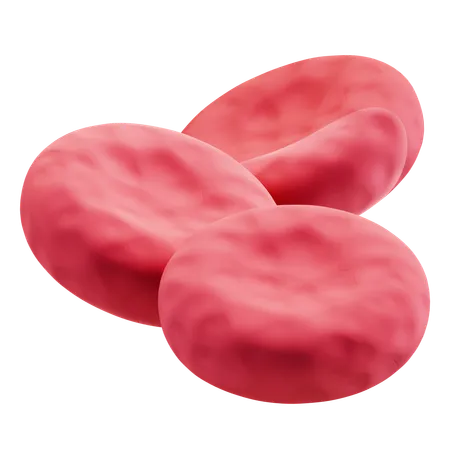 Blood Cell  3D Icon