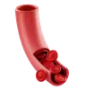 Blood Vessel