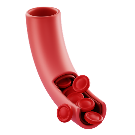 Blood Vessel  3D Icon