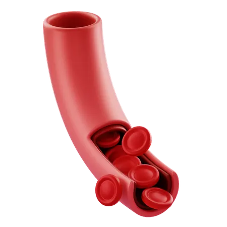 Blood Vessel  3D Icon