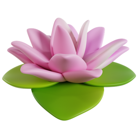 Blooming Lotus Chinese Celebration  3D Icon