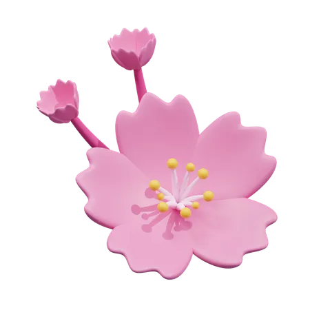 Blossom  3D Icon