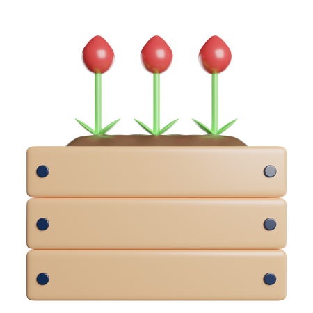 Blossom  3D Icon