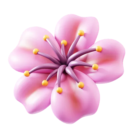 Blossom  3D Icon