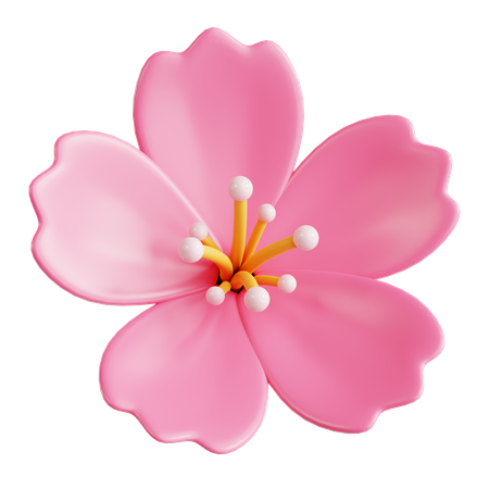 Blossom  3D Icon