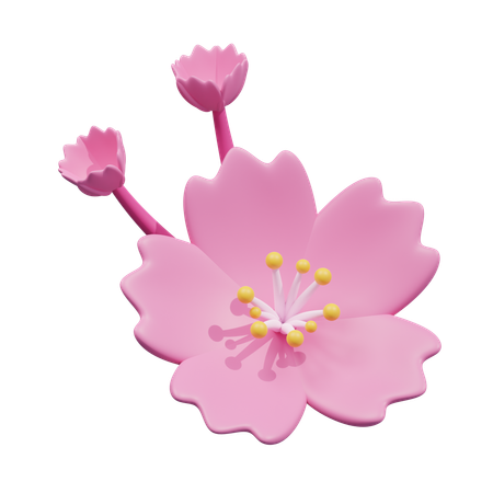 Blossom  3D Icon