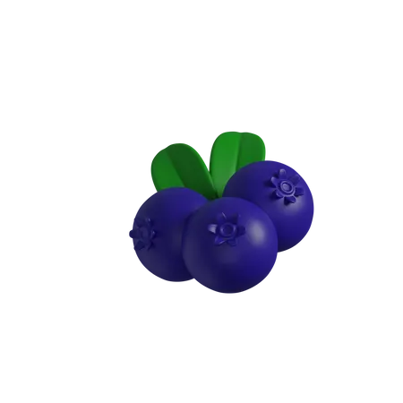 Blue Berry  3D Icon