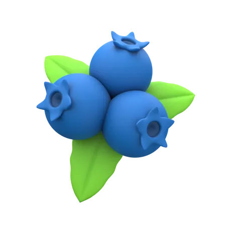 Blue Berry  3D Icon