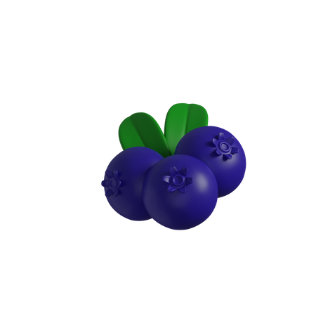 Blue Berry  3D Icon