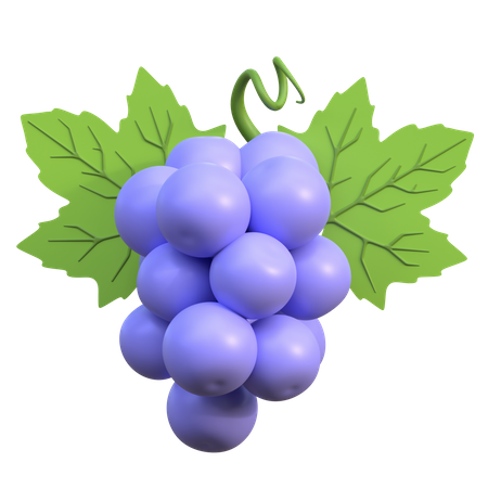 Blue Grapes  3D Icon