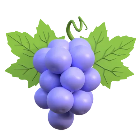 Blue Grapes  3D Icon