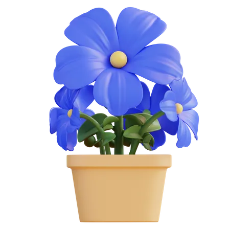 Blue Petunia Flower  3D Icon
