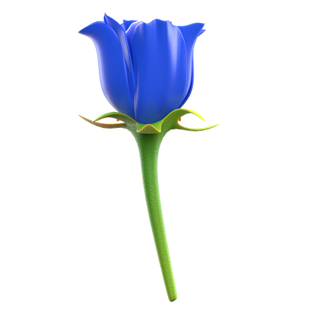 Blue Rose Flower  3D Icon