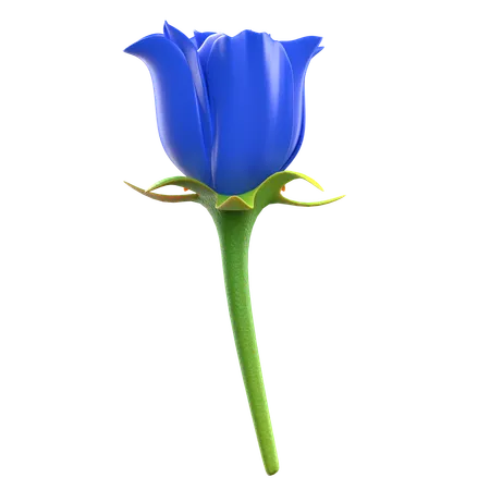 Blue Rose Flower  3D Icon