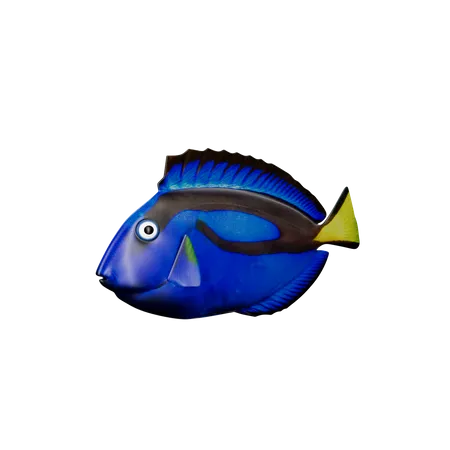Blue Tang  3D Icon