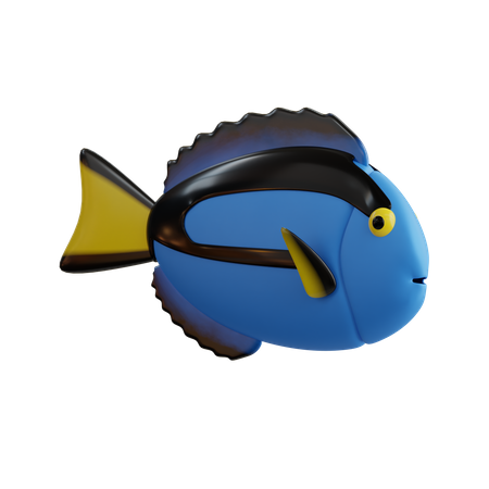 Blue Tang Fish  3D Icon
