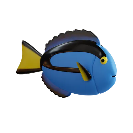 Blue Tang Fish  3D Icon