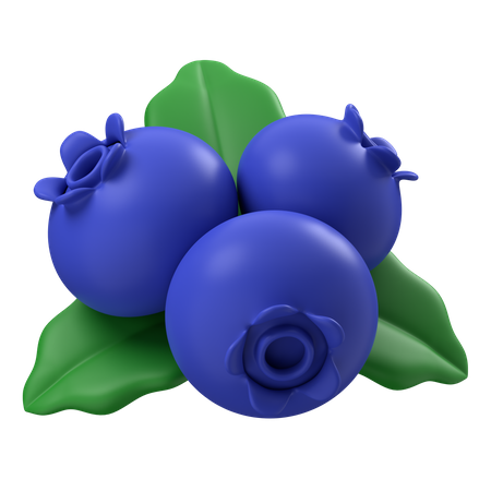 Blueberries  3D Icon