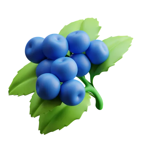 Blueberries  3D Illustration