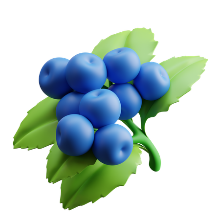 Blueberries 3D Illustration