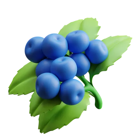 Blueberries 3D Illustration