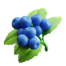 3d blueberries logo