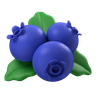 graphics of blueberries