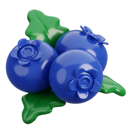 Blueberry  3D Icon