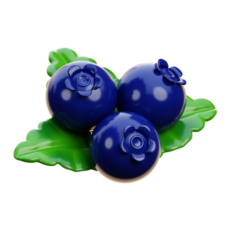 Blueberry  3D Icon