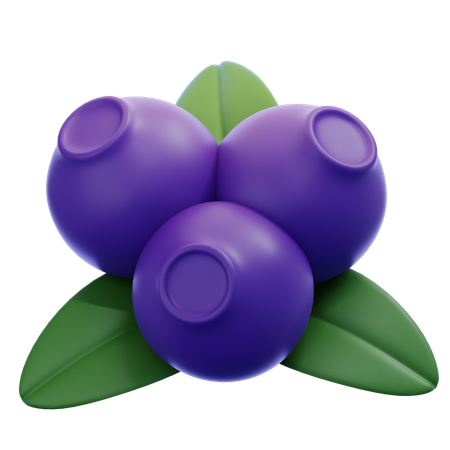 Blueberry  3D Icon