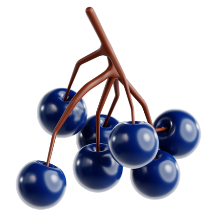 Blueberry  3D Icon