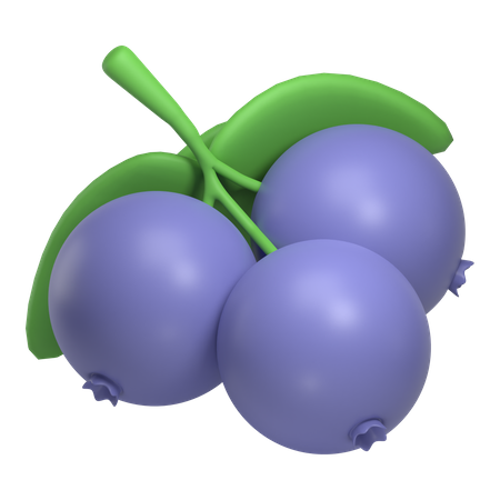 Blueberry  3D Icon