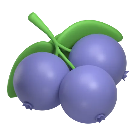 Blueberry  3D Icon