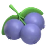 Blueberry