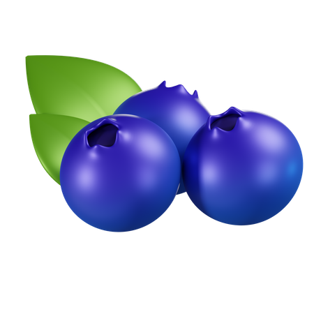 Blueberry  3D Icon