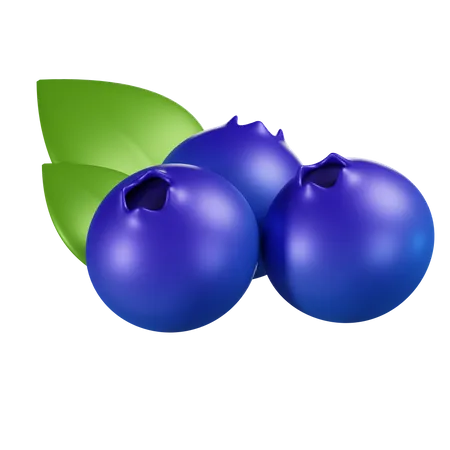 Blueberry  3D Icon