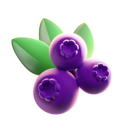 Blueberry  3D Icon