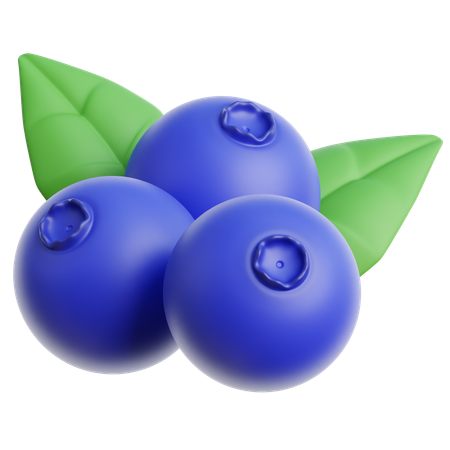 Blueberry  3D Icon