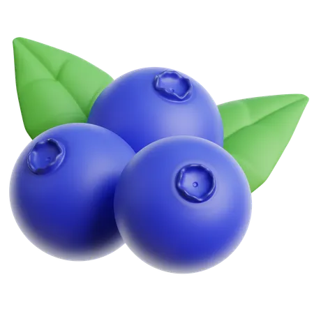 Blueberry  3D Icon