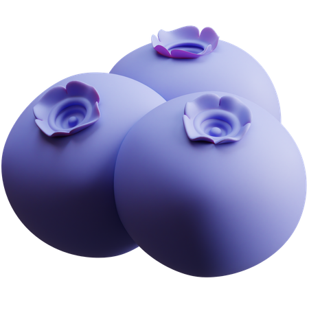 Blueberry  3D Icon