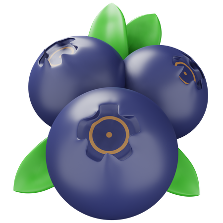 Blueberry  3D Icon